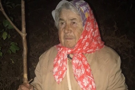 Пожилую женщину спасли из ночного леса в Нижегородской области (ВИДЕО)