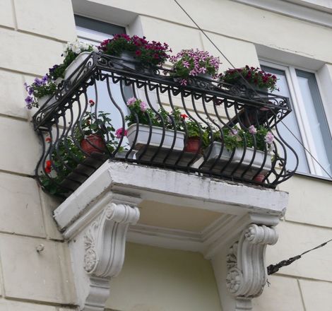 Самые красивые балконы и палисадники выберут в Нижнем Новгороде (ФОТО) - фото 10