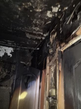 Пенсионерка сгорела в квартире на улице Заярской в Нижнем Новгороде - фото 1