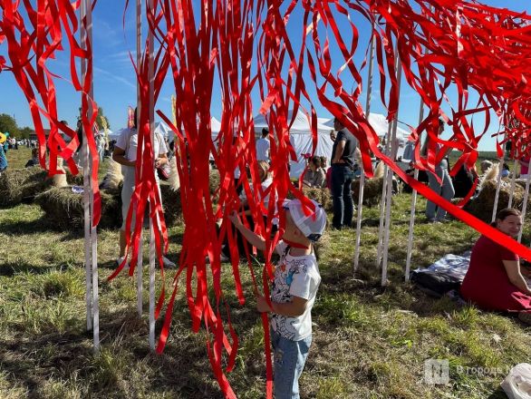 Фестиваль фольклора проходит в Нижегородской области - фото 7