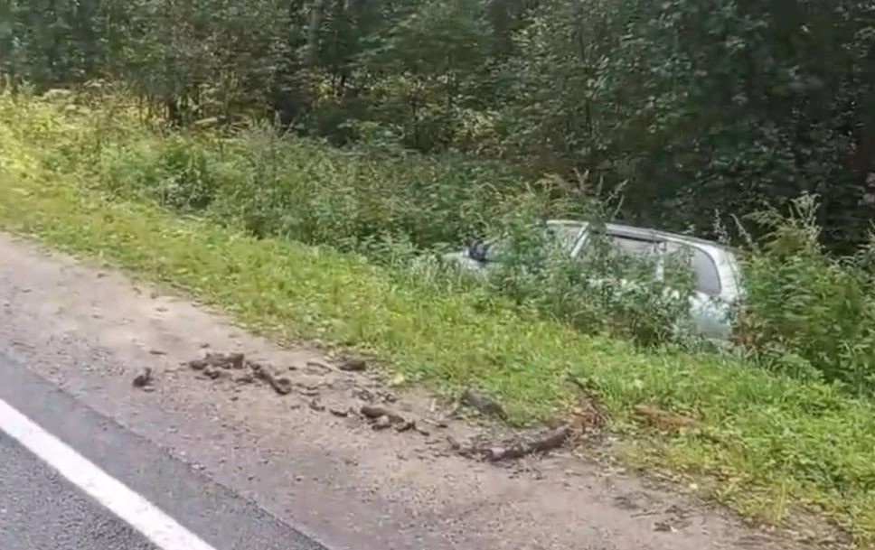 Водитель &laquo;Мицубиси&raquo; потерял сознание и влетел в &laquo;Ладу&raquo; в Городецком округе - фото 2
