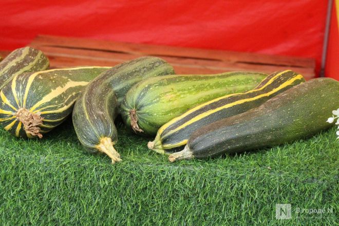 Обитатели нижегородского зоопарка &laquo;Лимпопо&raquo; подготовились к зиме - фото 7