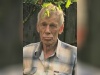 Пенсионер пропал в лесу в Павловском районе