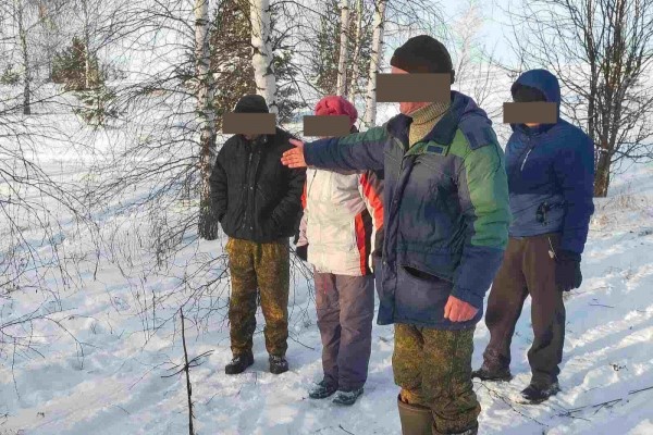 Дело возбудили из-за убийства двух косуль в Нижегородской области - фото 1
