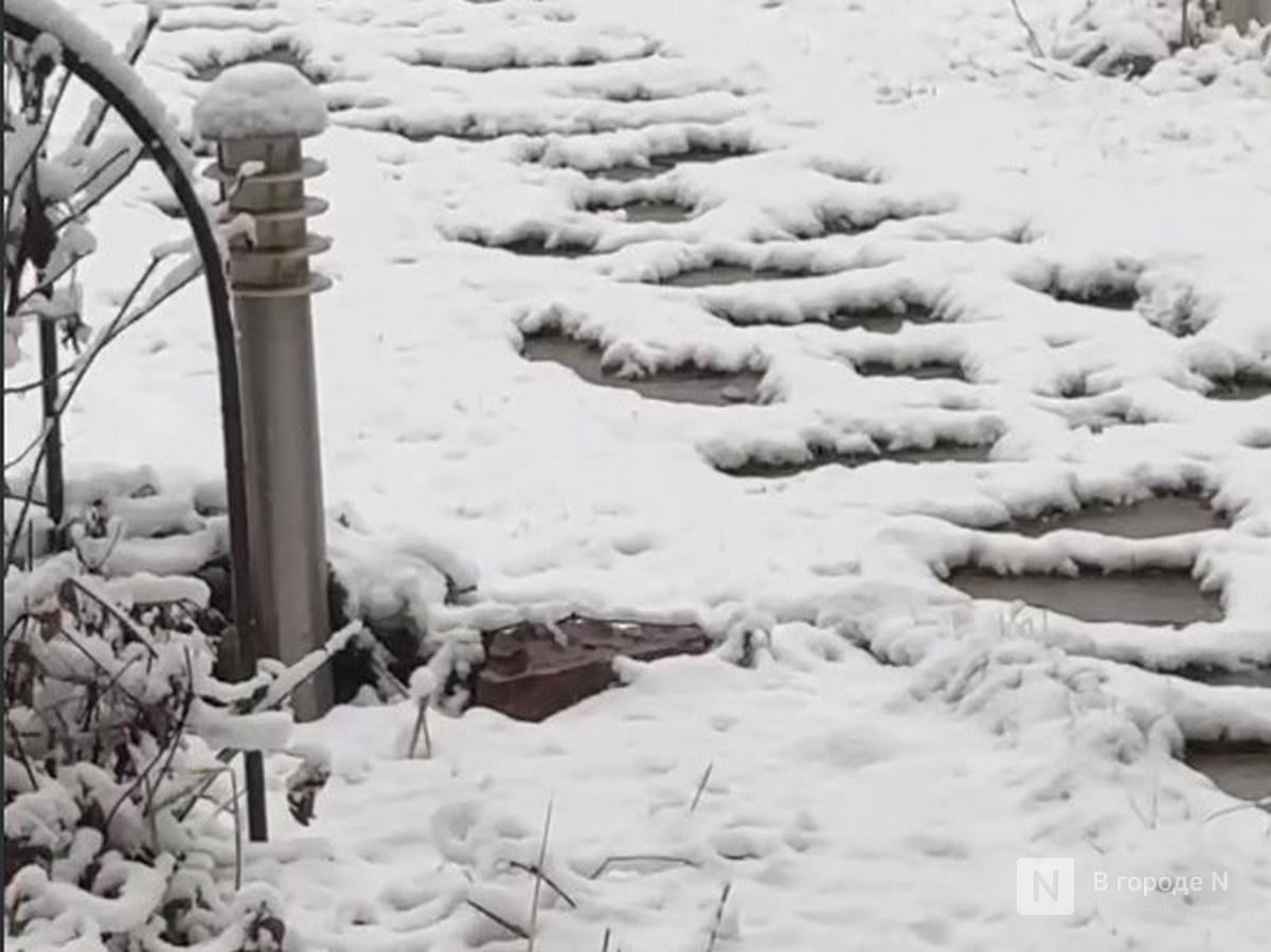 Первый снег выпал в Нижнем Новгороде 15 ноября: публикуем фото - фото 6