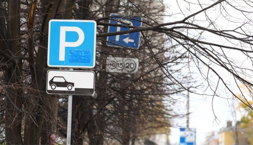 Льготные условия на платную парковку могут ввести в Нижнем Новгороде для многодетных семей - фото 1