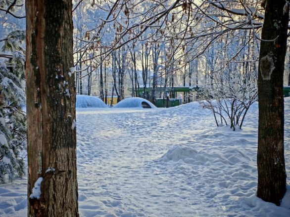 Аномальные морозы в Нижнем Новгороде: фоторепортаж из заснеженных парков - фото 4