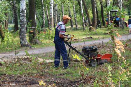 Конкурс проектов благоустройства малых городов пройдет в Нижнем Новгороде