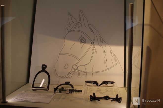 Монеты, украшения и боевые топоры: фоторепортаж с выставки археологических находок в Нижнем Новгороде - фото 54