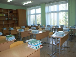 Директора борской школы оштрафовали из-за ученика-прогульщика
