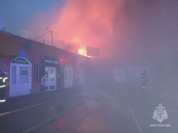Опубликованы фотографии с места мощного пожара в Городце - фото 1