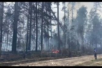 Режим ЧС введен в Вознесенском и Дивеевском районах из-за пожара в Мордовском заповеднике
