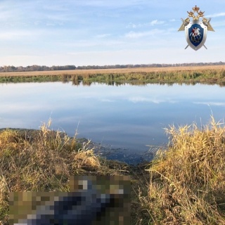 Тело рыбака извлекли из Пьяны в Бутурлинском районе - фото 1