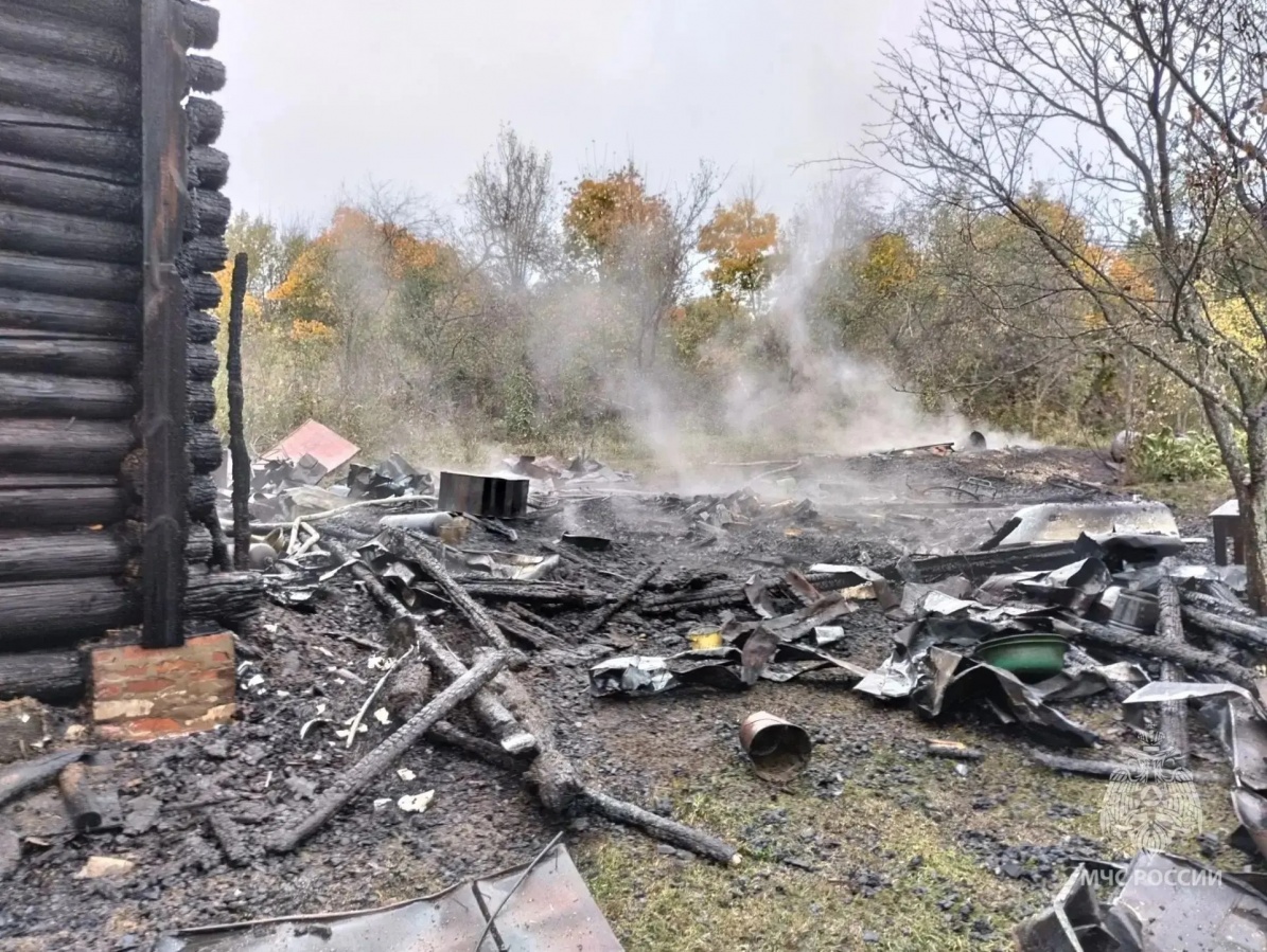 Крупный пожар уничтожил жилой дом в Нижегородской области - фото 1