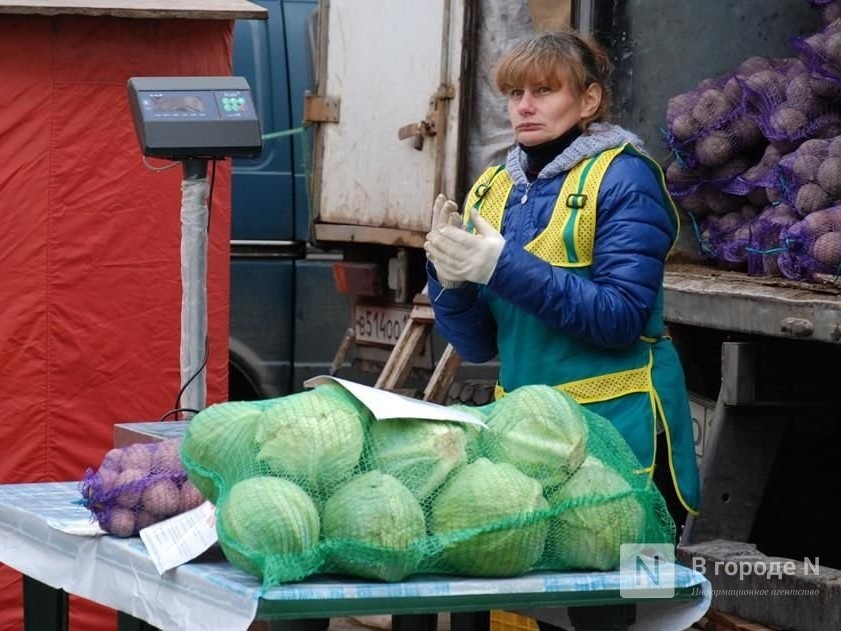 Капуста и лук подешевели в Нижегородской области - фото 1
