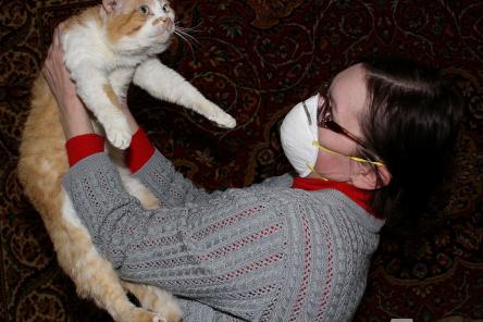 Нижегородский врач назвал кошек, березу и клещей главными причинами аллергии