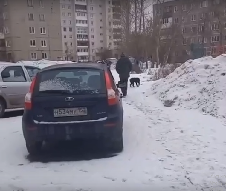 Соцсети: житель Дзержинска пытался застрелить собаку при детях - фото 1