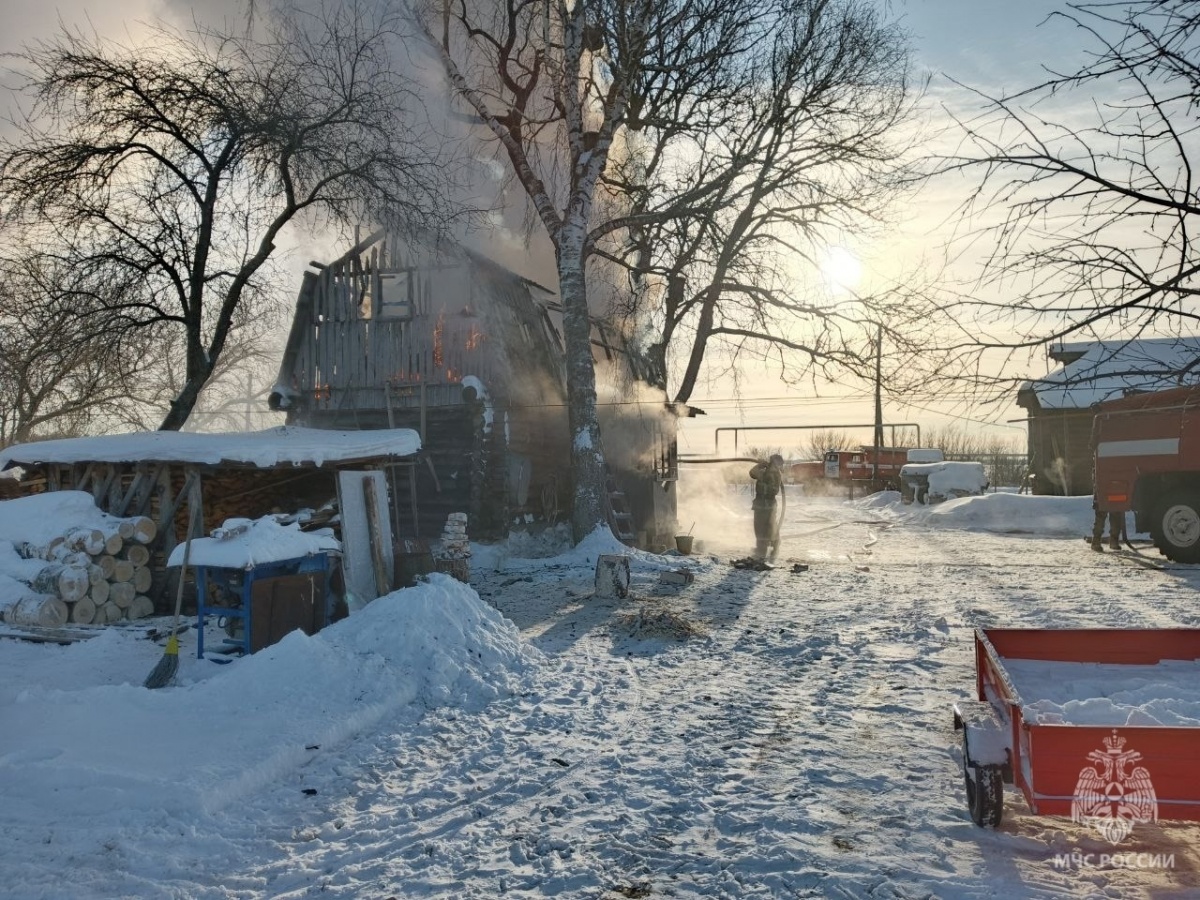 Курятник и баня сгорели в Нижегородской области  - фото 2