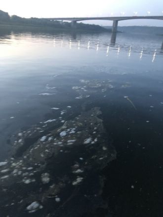 Пятна нефти обнаружены на Оке в районе Мызинского моста - фото 3