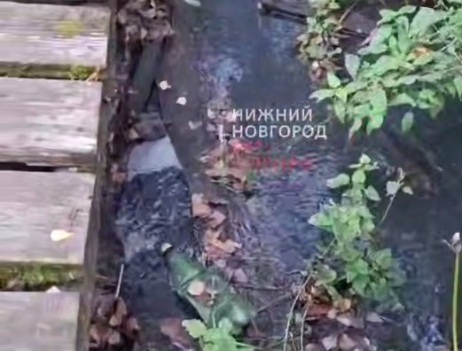 Нижегородцы жалуются на канализационные реки в лесах - фото 1