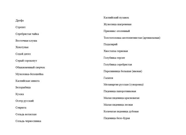 Пилохвост и гаичка: еще 30 видов животных внесли в нижегородскую Красную книгу - фото 2