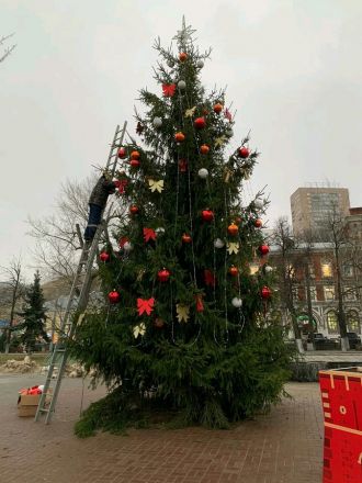 Живую новогоднюю елку на площади Маркина установил НБД-Банк - фото 8