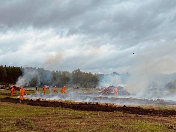Более 90% лесных пожаров в Нижегородской области тушат в первые сутки - фото 2