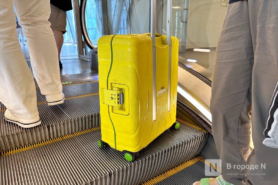 45 кг «запрещенки» обнаружили в багаже в аэропорту Нижнего Новгорода