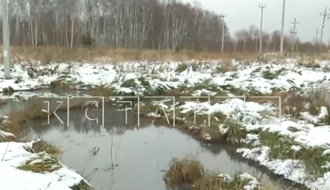 Канализацию снова прорвало в Богородском округе - фото 1