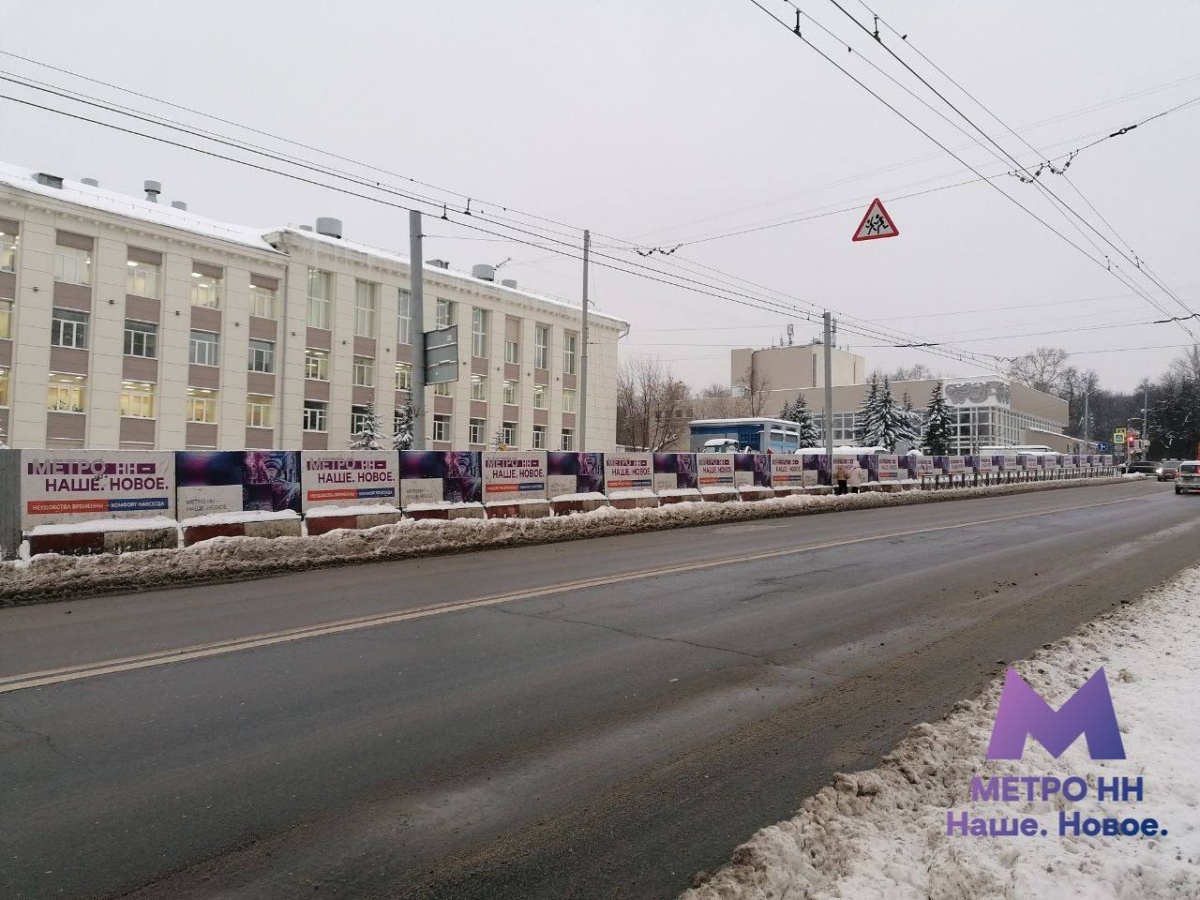 Более 40 деревьев вырубят для расширения улицы Ошарской в Нижнем Новгороде - фото 1