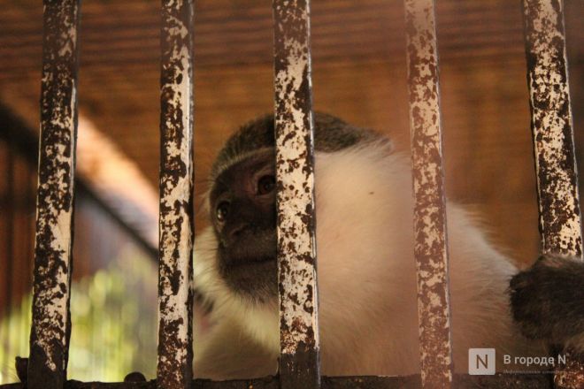 Древние пирамиды и опасность подводного мира: нижегородка рассказала о плюсах и минусах отдыха в Египте - фото 46