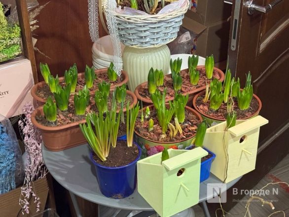 Мужчины, готовьтесь. Рассказываем, сколько стоят цветы к 8 марта в Нижнем Новгороде - фото 40