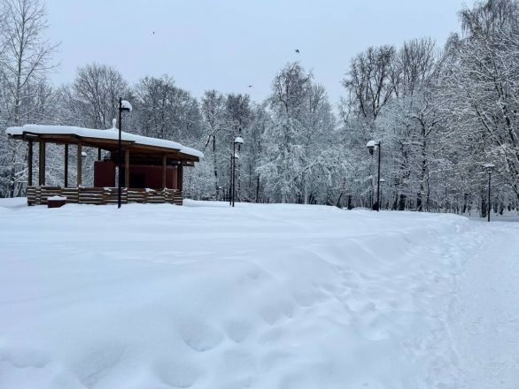 Утонули в сугробах: фоторепортаж с улиц Нижнего Новгорода после снежного апокалипсиса - фото 19