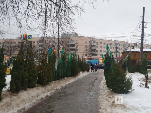 В двух районах Нижнего Новгорода незаконно продавали елки - фото 3