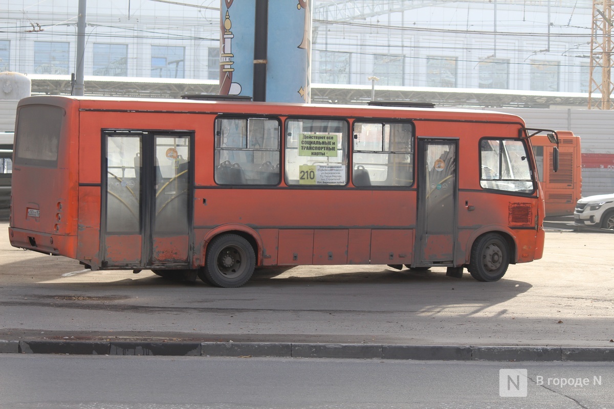 Единую сеть маршрутов между Нижним Новгородом и Кстовом создадут до конца года - фото 1
