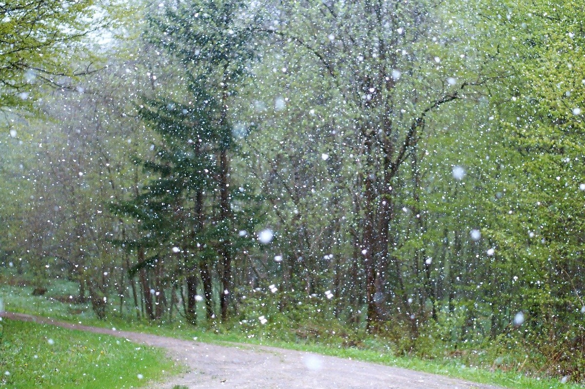 Мокрый снег ожидается в Нижегородской области в конце недели