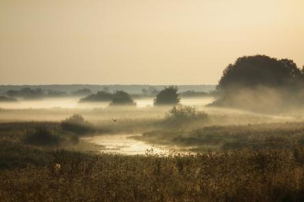 Быть ли стройке в заповедной зоне?