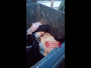 Полиция проводит проверку из-за полуживой собаки, найденной в мусорке в Ленинском районе