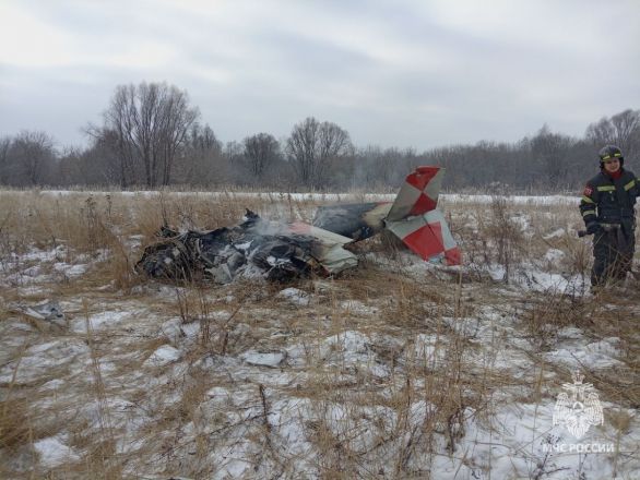 Крушение пассажирского самолета в Нижегородской области 20 февраля: хронология событий - фото 3