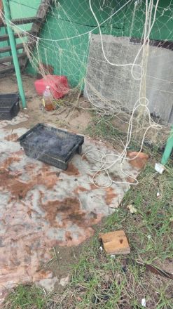 Незаконные объекты канализации обнаружены на нижегородской лодочной станции   - фото 4