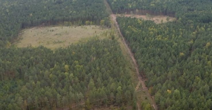Нижегородский экопатруль обвинил Никиту Михалкова в вырубке павловских лесов - фото 1