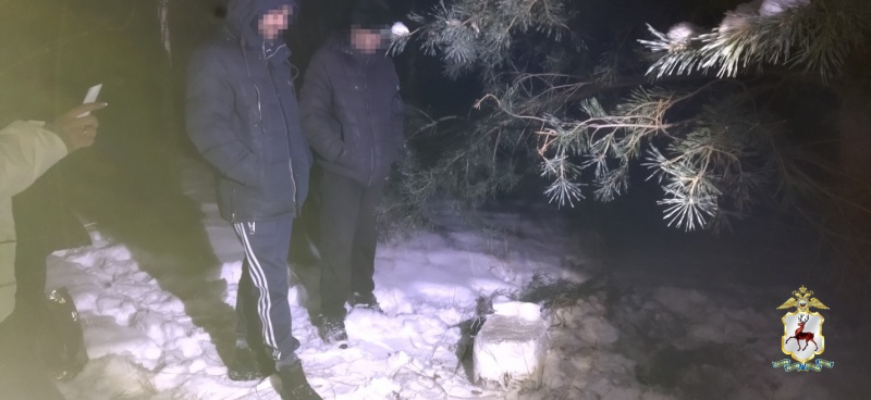 Крупную нарколабораторию ликвидировали полицейские в Лукоянове - фото 1