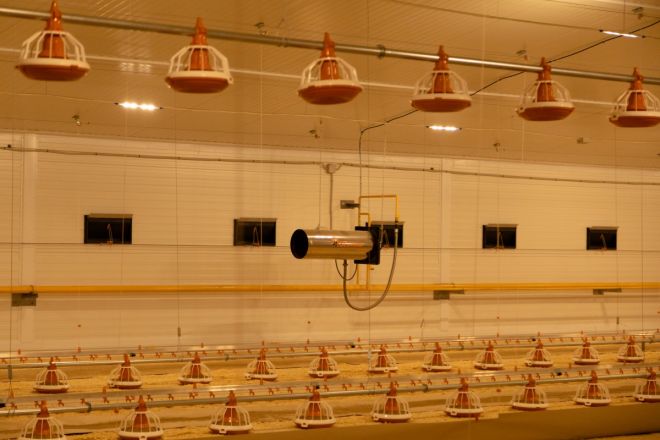 Архивные фото Павловской птицефабрики показали нижегородцам - фото 5