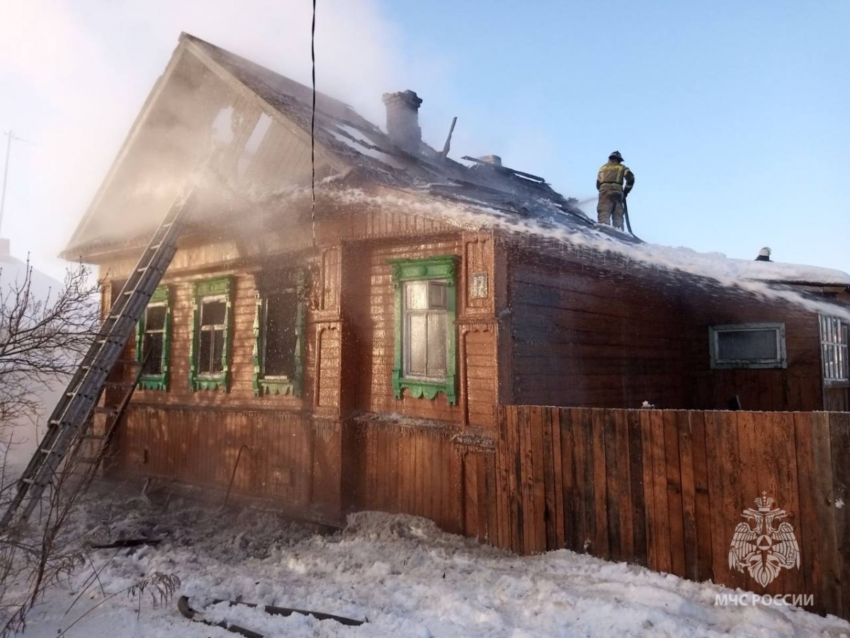 Мужчина и его сын погибли при пожаре в Семенове - фото 1