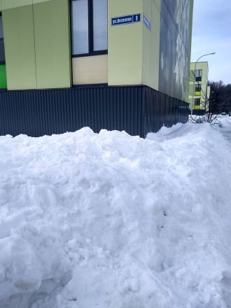 Подозрительное вещество на снегу обнаружили жители Кстовского района - фото 3