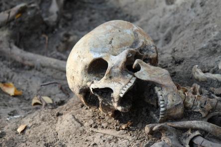 В Нижегородском кремле обнаружили кладбище (ФОТО)