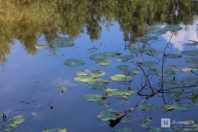 Фото площадки под КРТ на Бурнаковке показали нижегородцам - фото 11