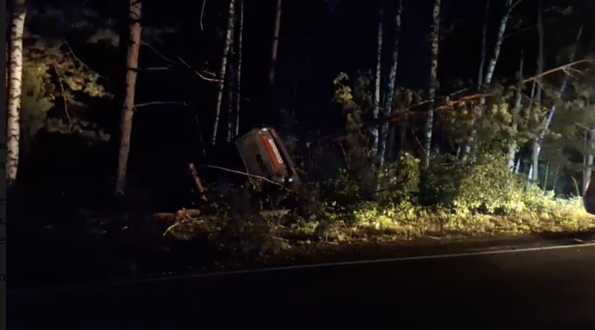 Водитель &laquo;Лады&raquo; погиб в жутком ДТП с лосем в Нижегородской области - фото 1