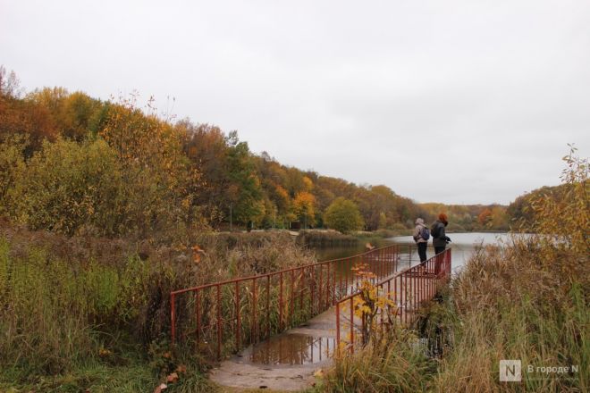 Фоторепортаж: золотая осень в Нижнем Новгороде - фото 6