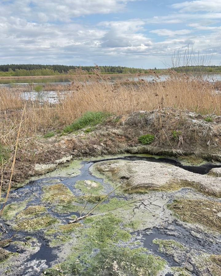 Дзержинский водоканал попался на экологических нарушениях - фото 2